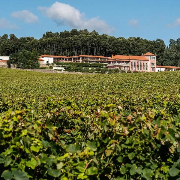 Solar de Vila Meã, hotel em Barcelos