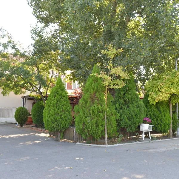 Apartman Ivana, hotel em Požarevac