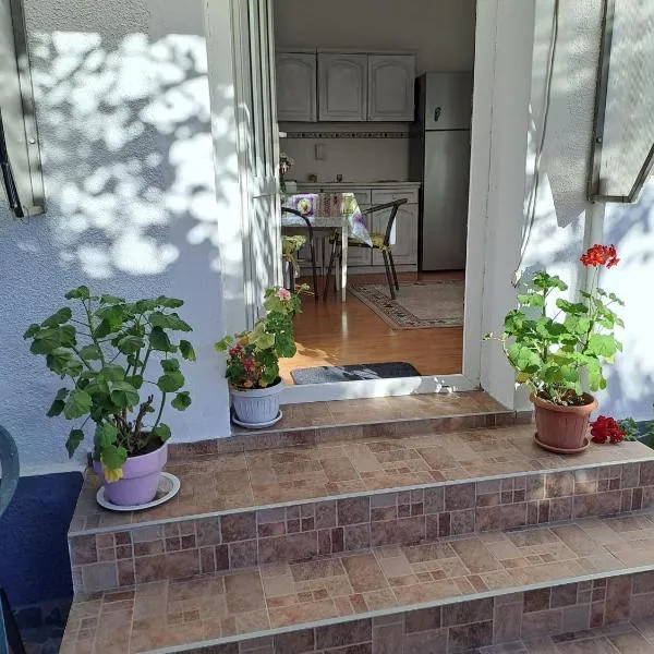 Comaniciu Sorin, hotell sihtkohas Făgăraş