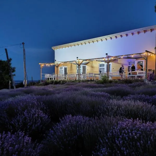 Levendulászat, hôtel à Simontornya