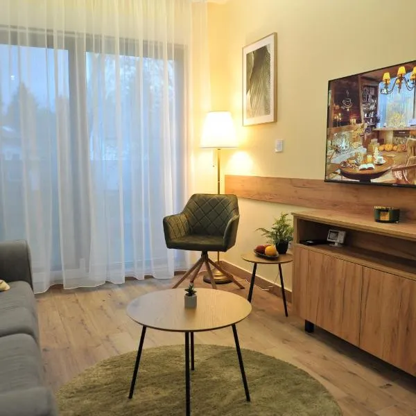 Studio apartmani Anika，位于维尔蒂尼克的酒店