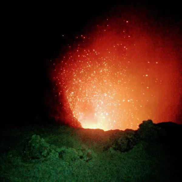 Viesnīca Glowing Mountain view tree house pilsētā Loanengo