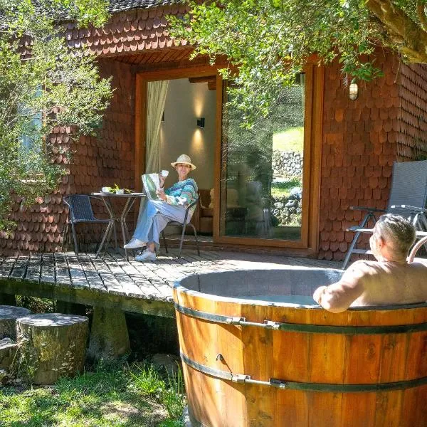 Hotel y Termas Huife, hotel in Termas De Huife