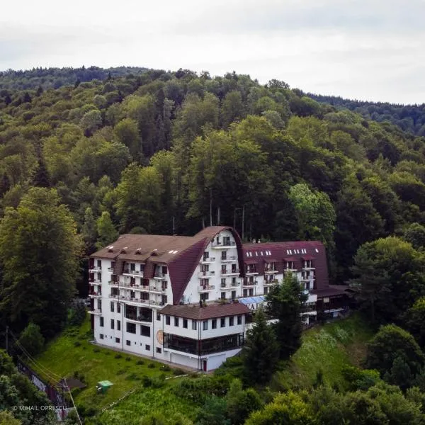 Hotel Valea cu Pesti, hotel em Căpăţîneni-Ungureni