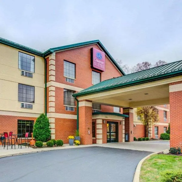 Comfort Suites Pittsburgh Airport, hotel sa Coraopolis