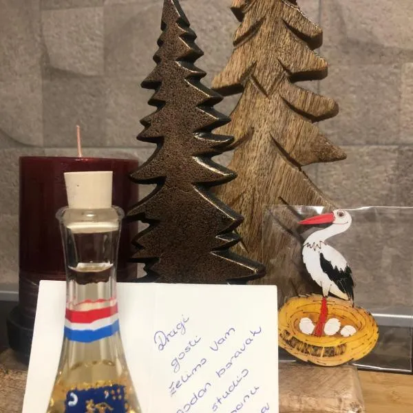 Studio apartman Avenija ***, hotel en Slavonski Brod