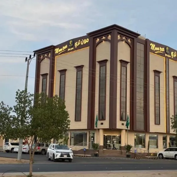 شركه فندق مون تري الفندقيه شركه من شخص واحد, hotel in Najran