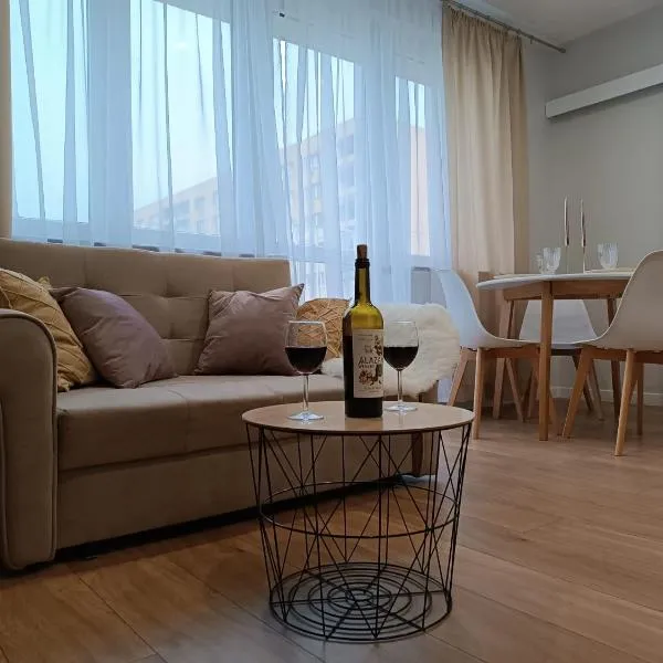 Layla Apartment, Hotel in Łódź