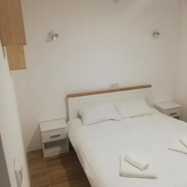 Vila Budimir, hotel v destinaci Pirot