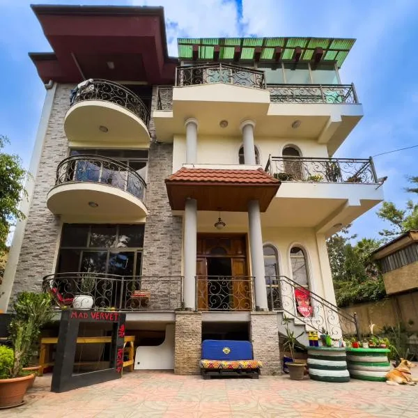 Mad Vervet Backpackers Hostel, hotel in Addis Ababa