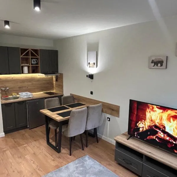 Apartman Mist - Bela Reka Kopaonik, Hotel in Brzeće