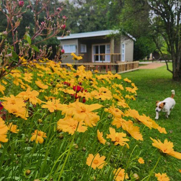 Tsitsikamma Garden Chalets