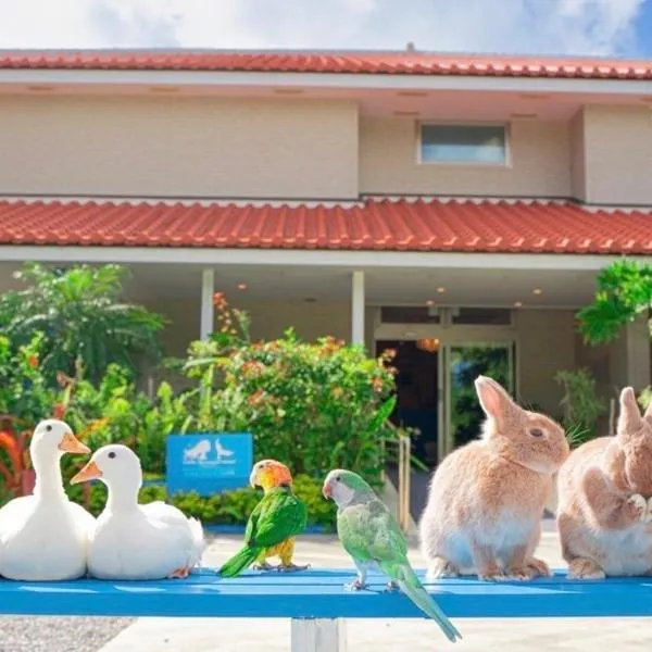 Little Mermaid Hotel Ishigakijima,石垣島的飯店
