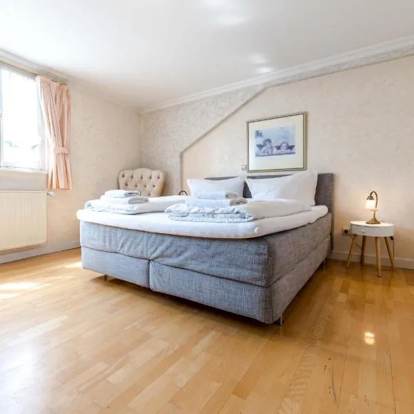 Hotel Leone d´Oro, Hotel in Heidelberg