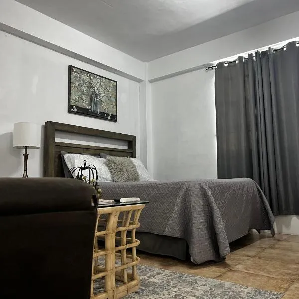 Roseau City Hub apt # 3，羅索的飯店