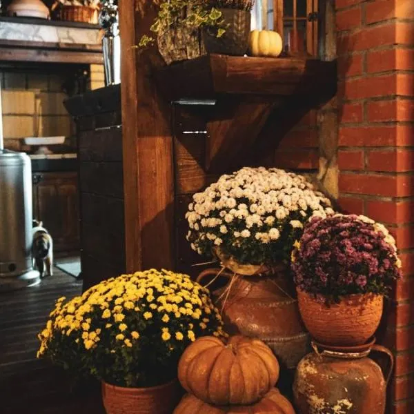 Вила Тодора Villa Todora, hotel in Vratsa