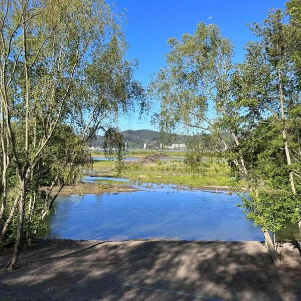 Alojamiento BordeRío, Hotel in Concepción