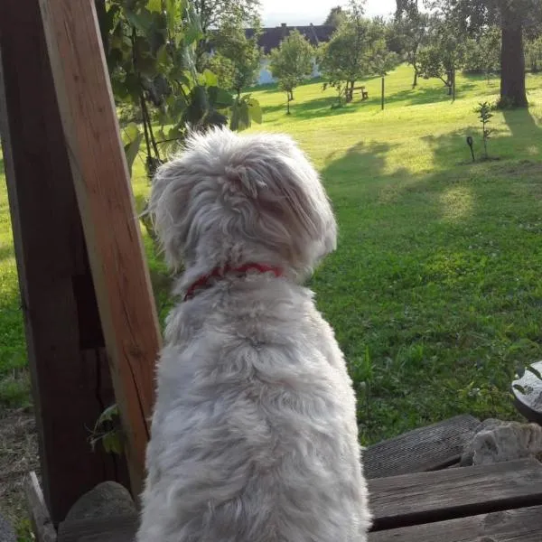 Gemütlichkeit am Vierkanthof - Apartment 1, hôtel à Wörterberg
