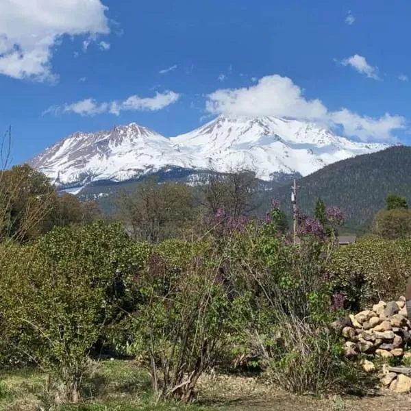 Angel cottage with a sauna or The Cozy with a jacuzzi tub, both are studios with a view of Mount Shasta, hotel in Mount Shasta