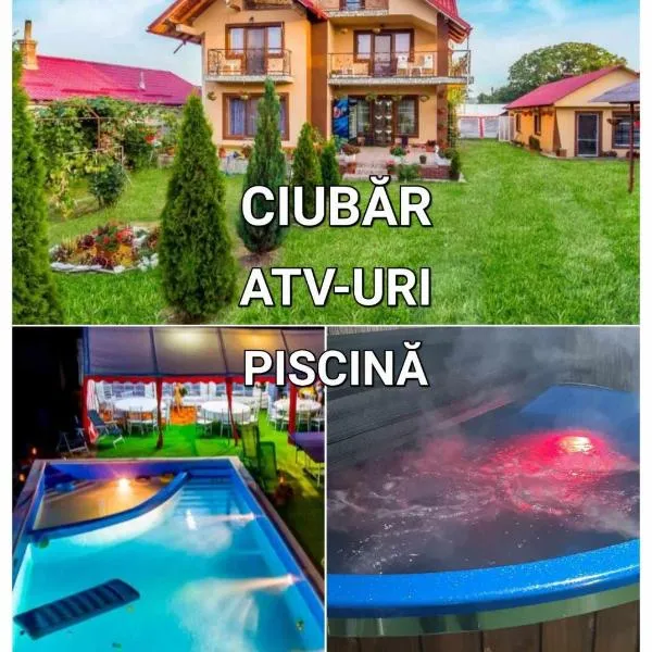 Pensiunea Mariana, ξενοδοχείο σε Baia de Fier