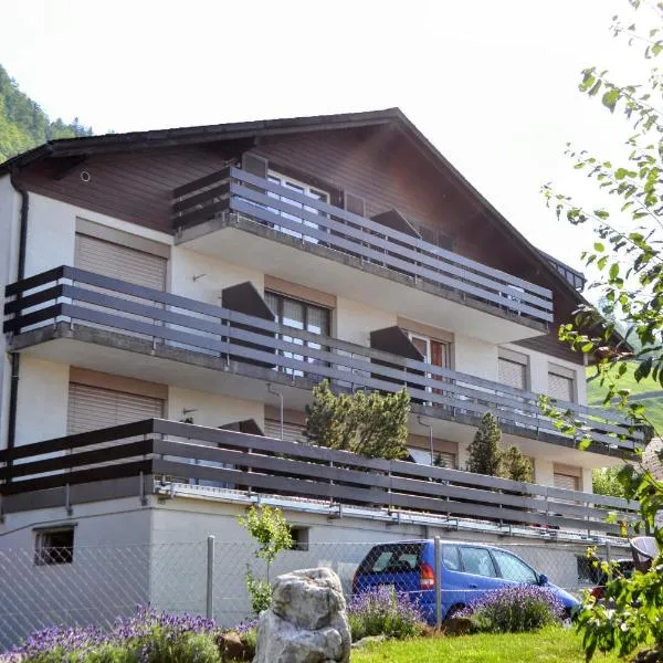 Elfe-Apartments FerienMietWohnungen, hotel en Emmetten