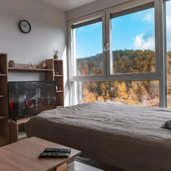 Apartmani Jezero Divčibare, hotel in Divčibare