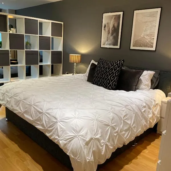City Centre Modern Studio Apartment - Westone FREE WIFI, GYM ACCESS, NETFLIX，位于谢菲尔德的酒店