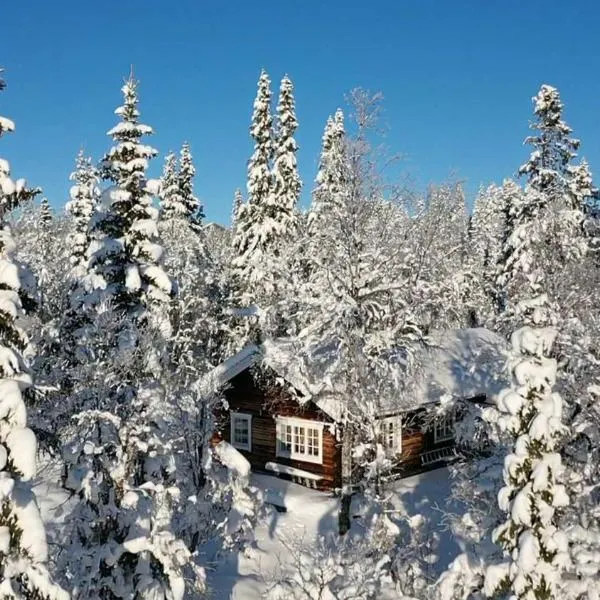Messlingen, Sjövägen 5, hotel in Funäsdalen