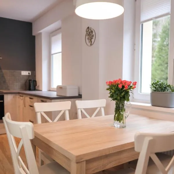 Apartment Schober - Rezidence K Lanovce, ξενοδοχείο σε Jáchymov