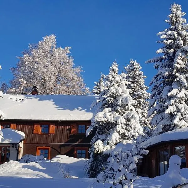 Guest House Sněžník, hotel v destinaci Sněžník