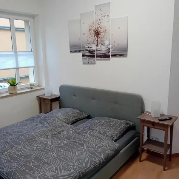 Top Ferienwohnung in sehr guter Lage, hotel in Dresden