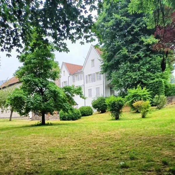 Domaine de la Moselle, Hotel in Saint-Maurice-sur-Moselle