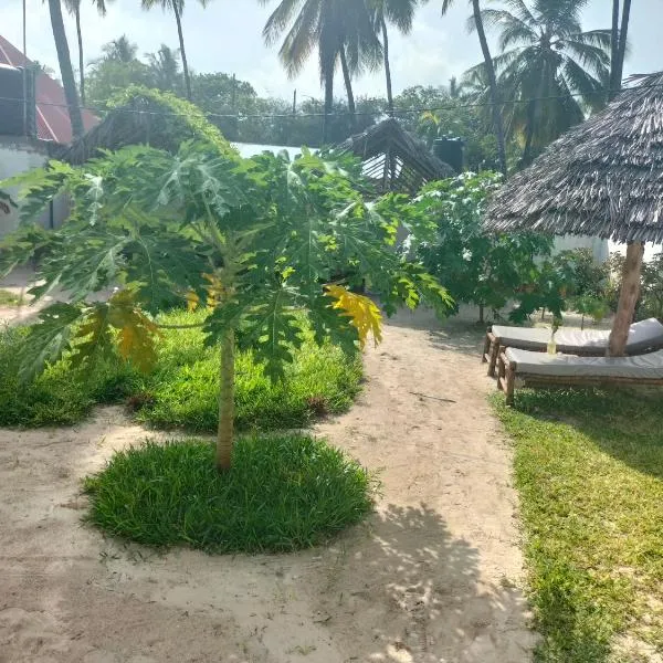 Mambo Leo Hostel, hotel v destinaci Paje