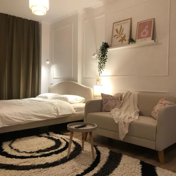 TIF Studio，位于拉姆尼库沃尔恰的酒店