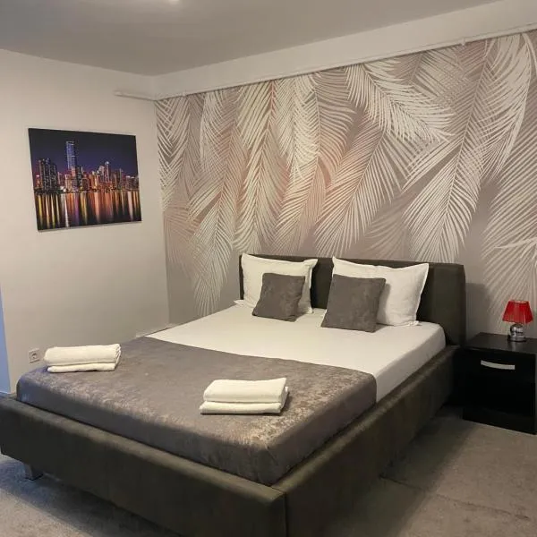 ANS House, ξενοδοχείο στην Ντέβα