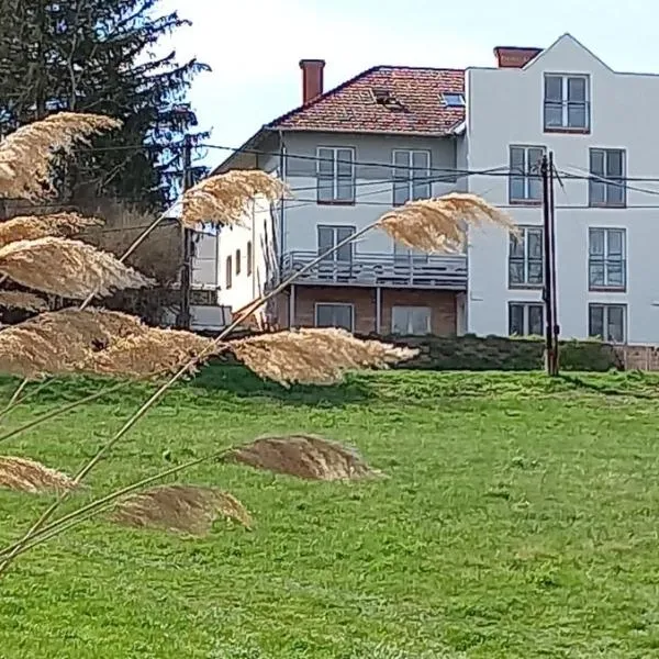 Onix-Vital Apartman Orfű, hotel in Orfű