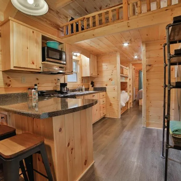 Ani Cabin Tiny Home Bordered By National Forest, hotel in Chattanooga