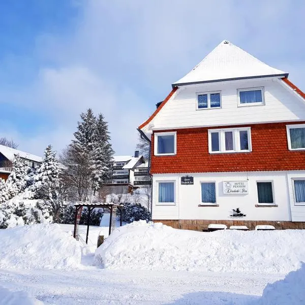 Hotel Elisabeth Ilse, hotel em Braunlage