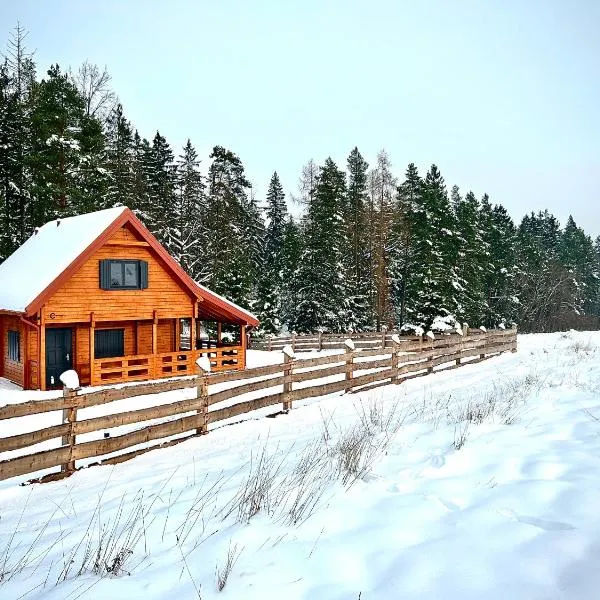 Okno na las, hotel in Polanica-Zdrój