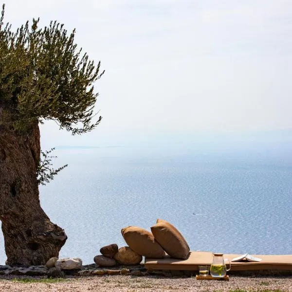 Momos Otel, hotel en Ayvacık