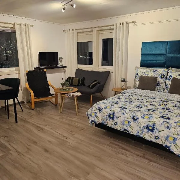 Studio 4, ξενοδοχείο σε Dalen