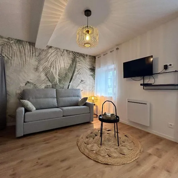 Studio en centre ville + wifi, hotel v destinaci Labruguière