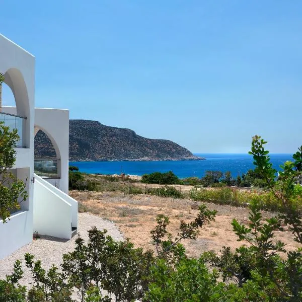 Aelia Luxury Villa, Hotel in Amoopi