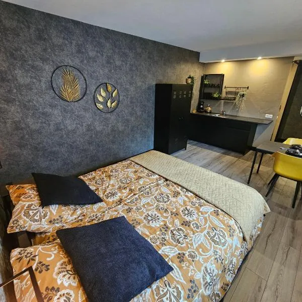 City Stay Juliette, hotel v destinaci Enschede