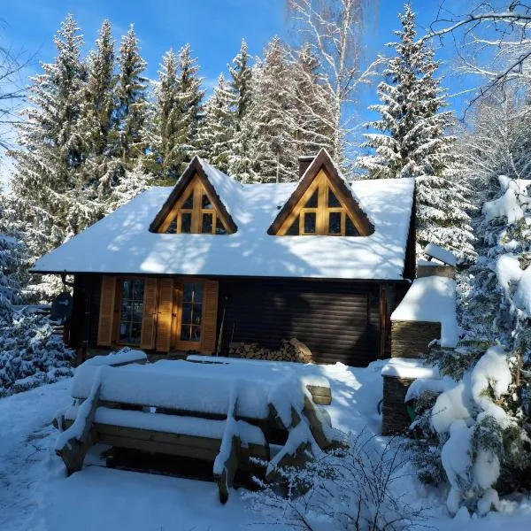 Chalet Bellevue Rogla, hotel in Zreče