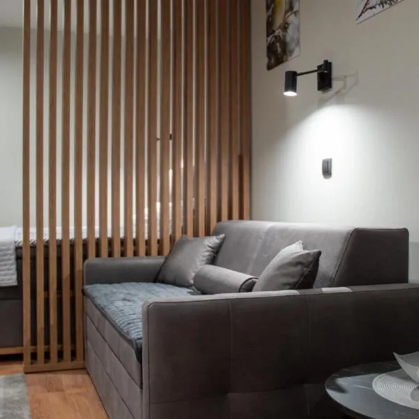 Regulus apartment Brzeće Kopaonik, Hotel in Brzeće