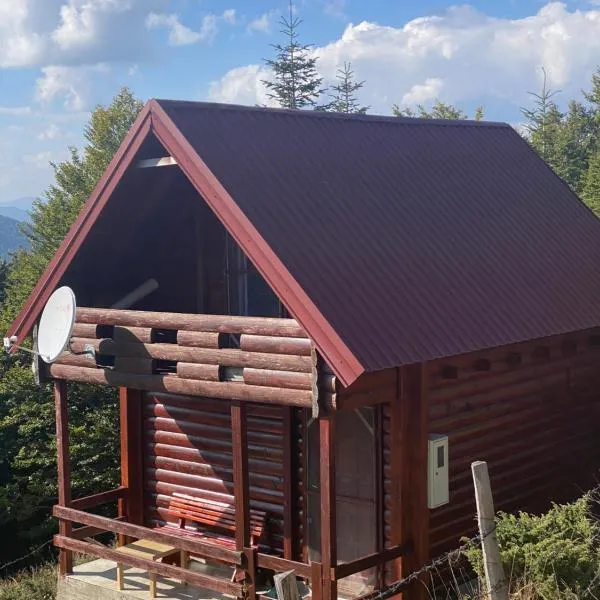Mountain cottage Hajdi, Hotel in Andrijevica