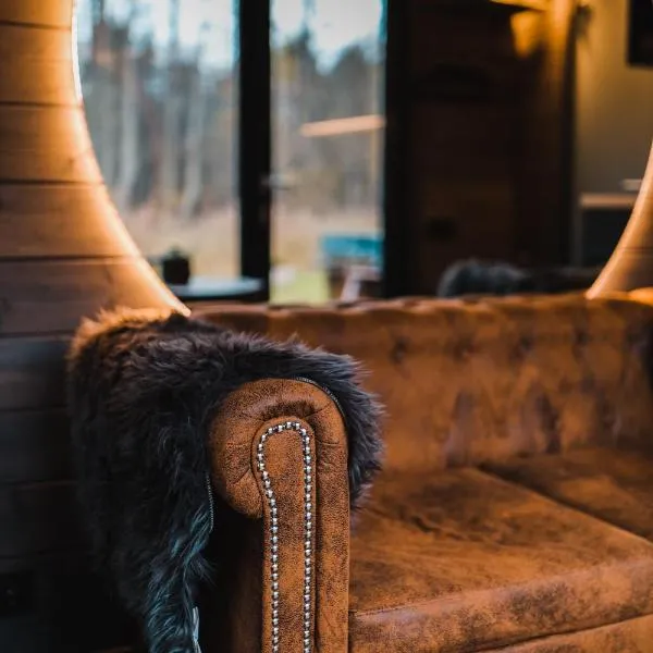 Reborn Cabins, Hotel in Pabaži