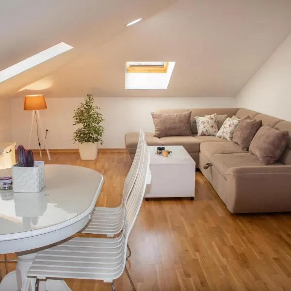 Apartman Mazić Nikšić, hotelli kohteessa Nikšić