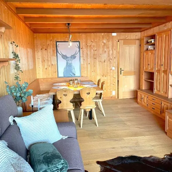 Cozy apartment in St. Moritz, ξενοδοχείο στο Σεντ Μόριτζ